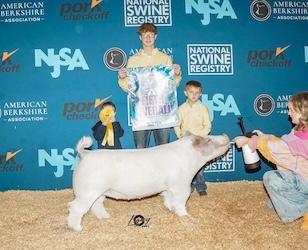 Upperhand Winners